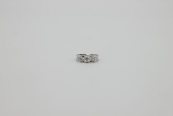GARDEN RING